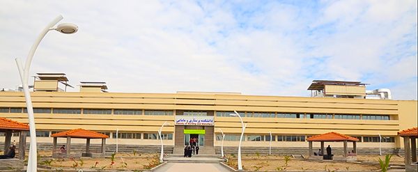 Nursing & Midwifery | HUMS